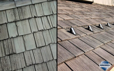 Why Homeowners Are Switching from Cedar Shakes to DaVinci Roofs